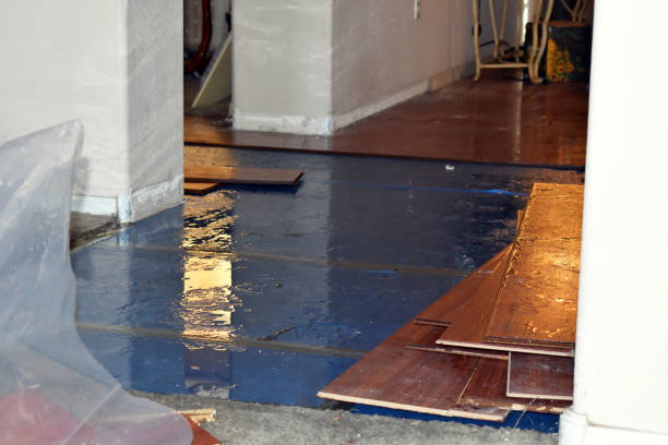 Professional Burst Pipe Cleanup technician working in Cerrillos, NM